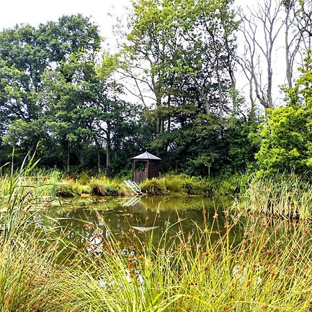 Charming Tranquil Shepherds Hut With Lakeside Balcony 'Roach' Uckfield Exteriör bild
