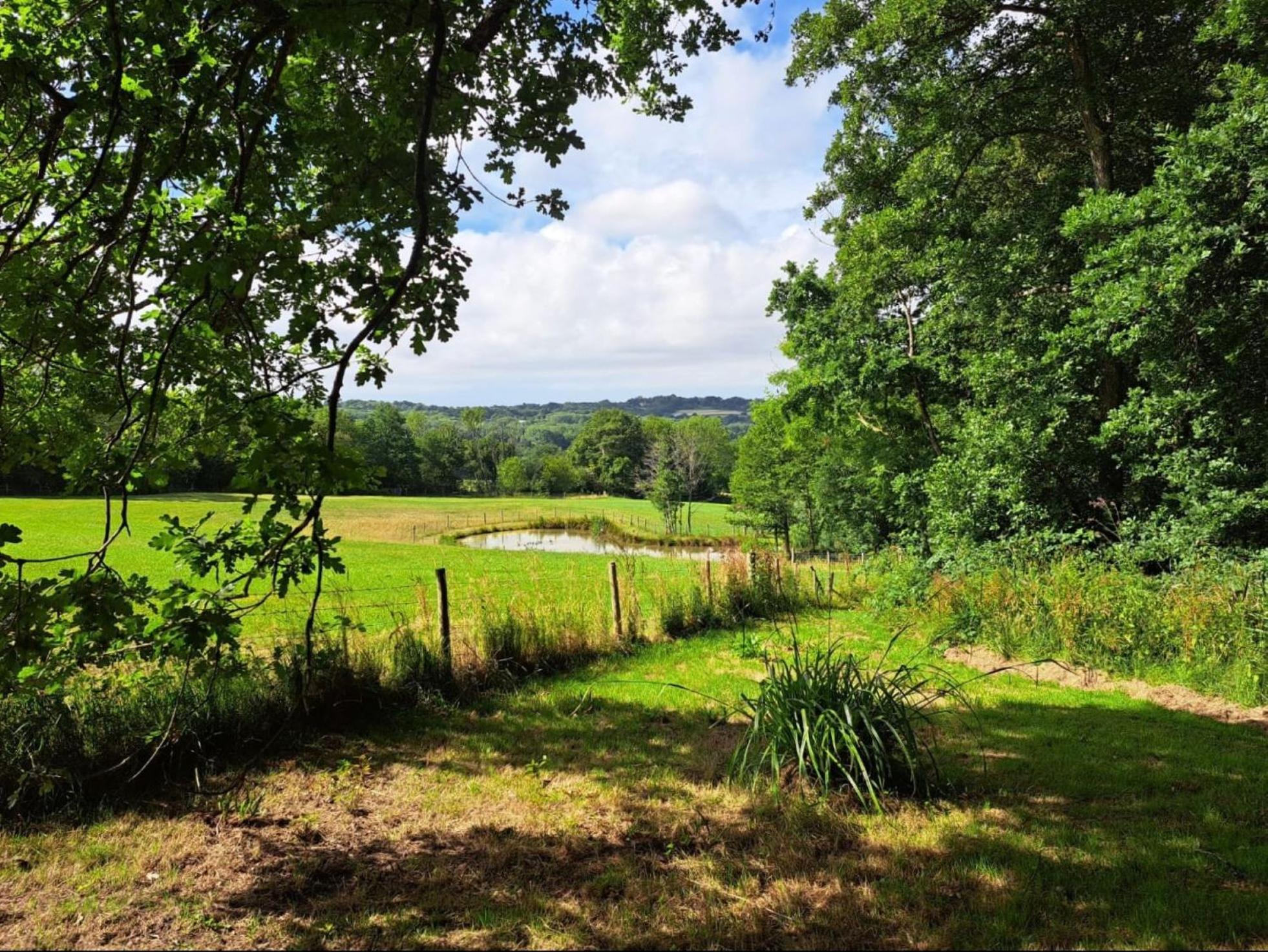 Charming Tranquil Shepherds Hut With Lakeside Balcony 'Roach' Uckfield Exteriör bild